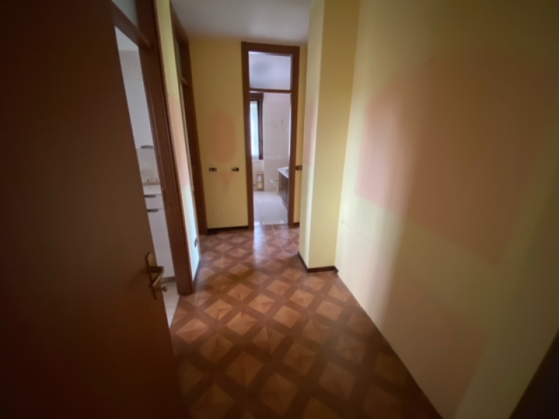 image3 (2).jpeg